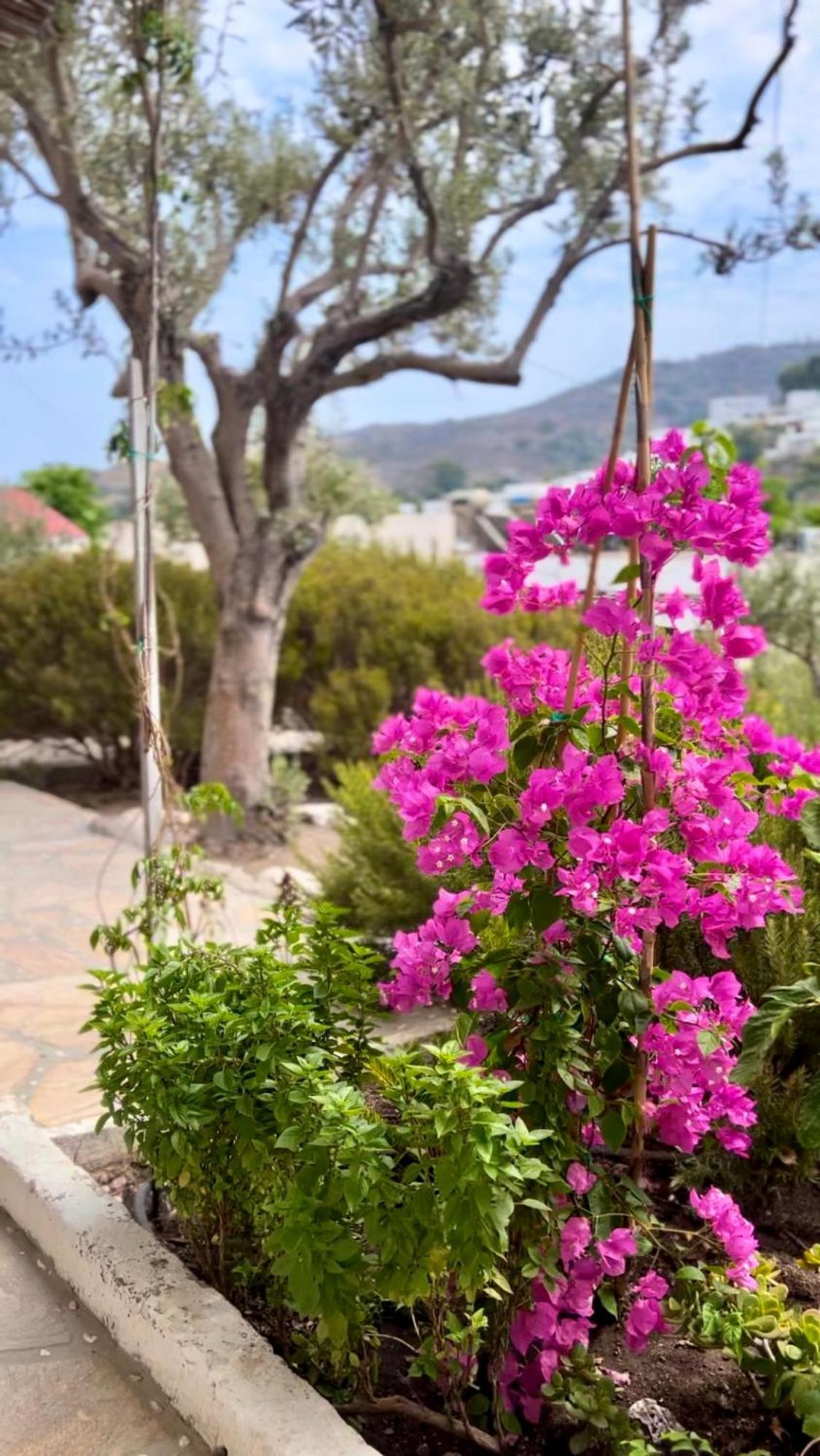 Aparthotel Mistral-Patmos Skála Esterno foto